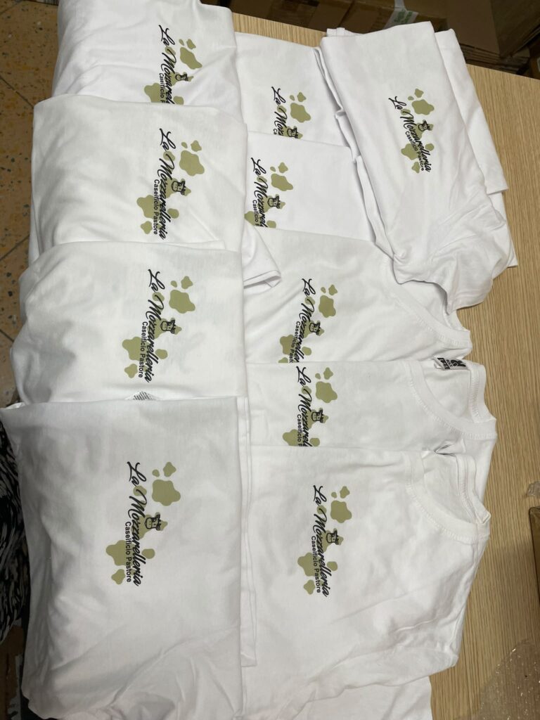 t shirt 2027 in cotone 100% con pagamento alla consegna