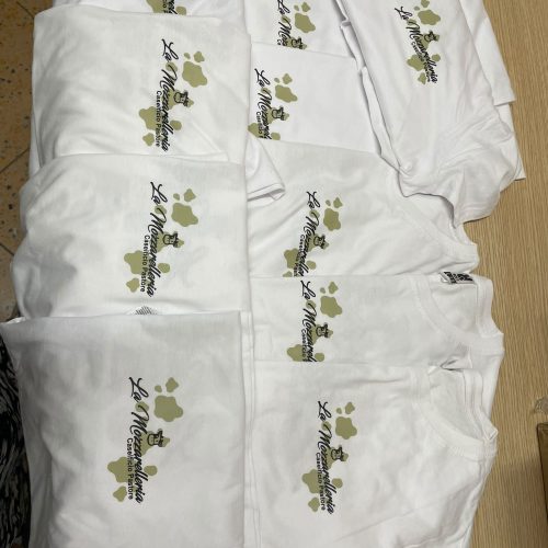t shirt 2027 in cotone 100% con pagamento alla consegna